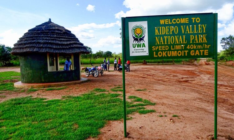 4 Days Kidepo Wildlife Tour