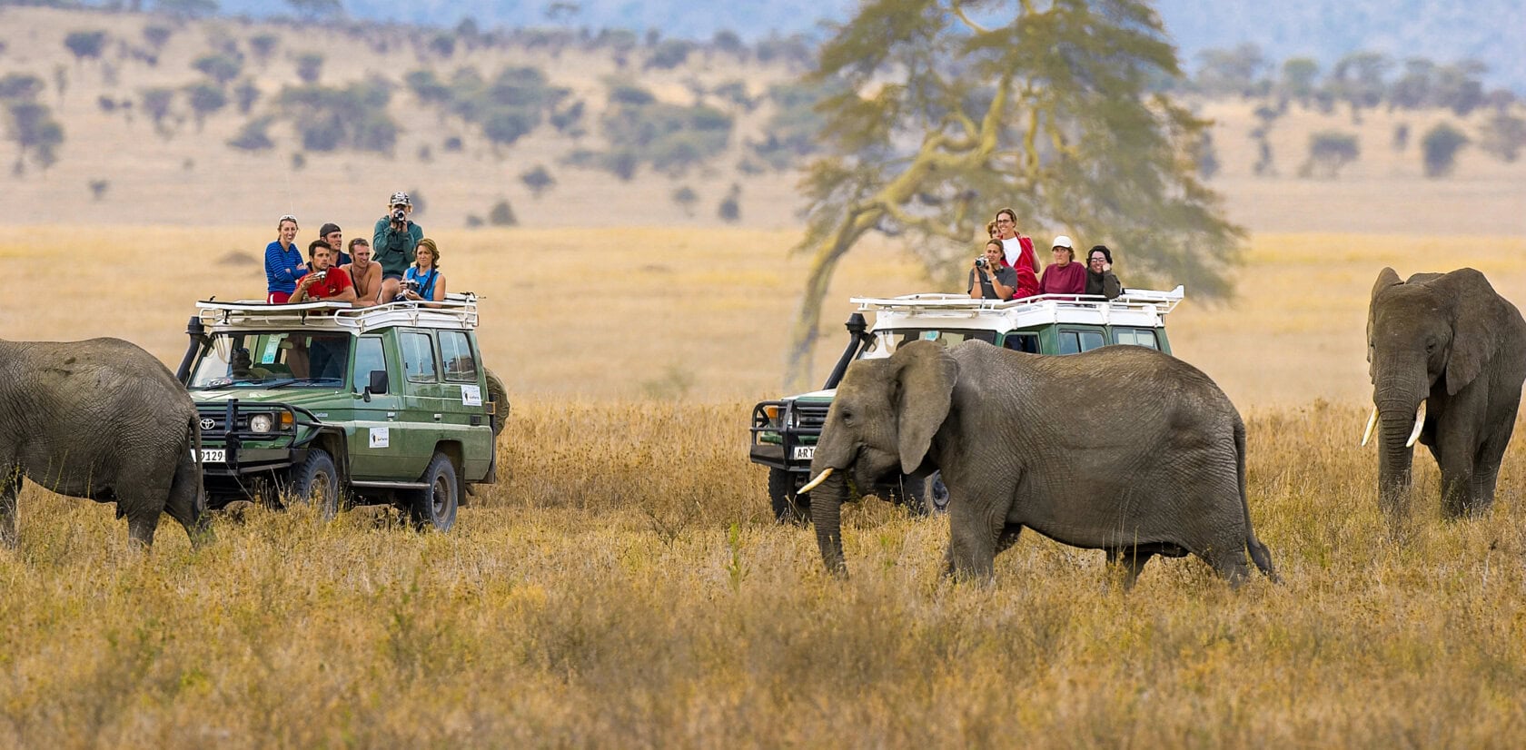 5 Day Serengeti and Ngorongoro Fly-In Safari