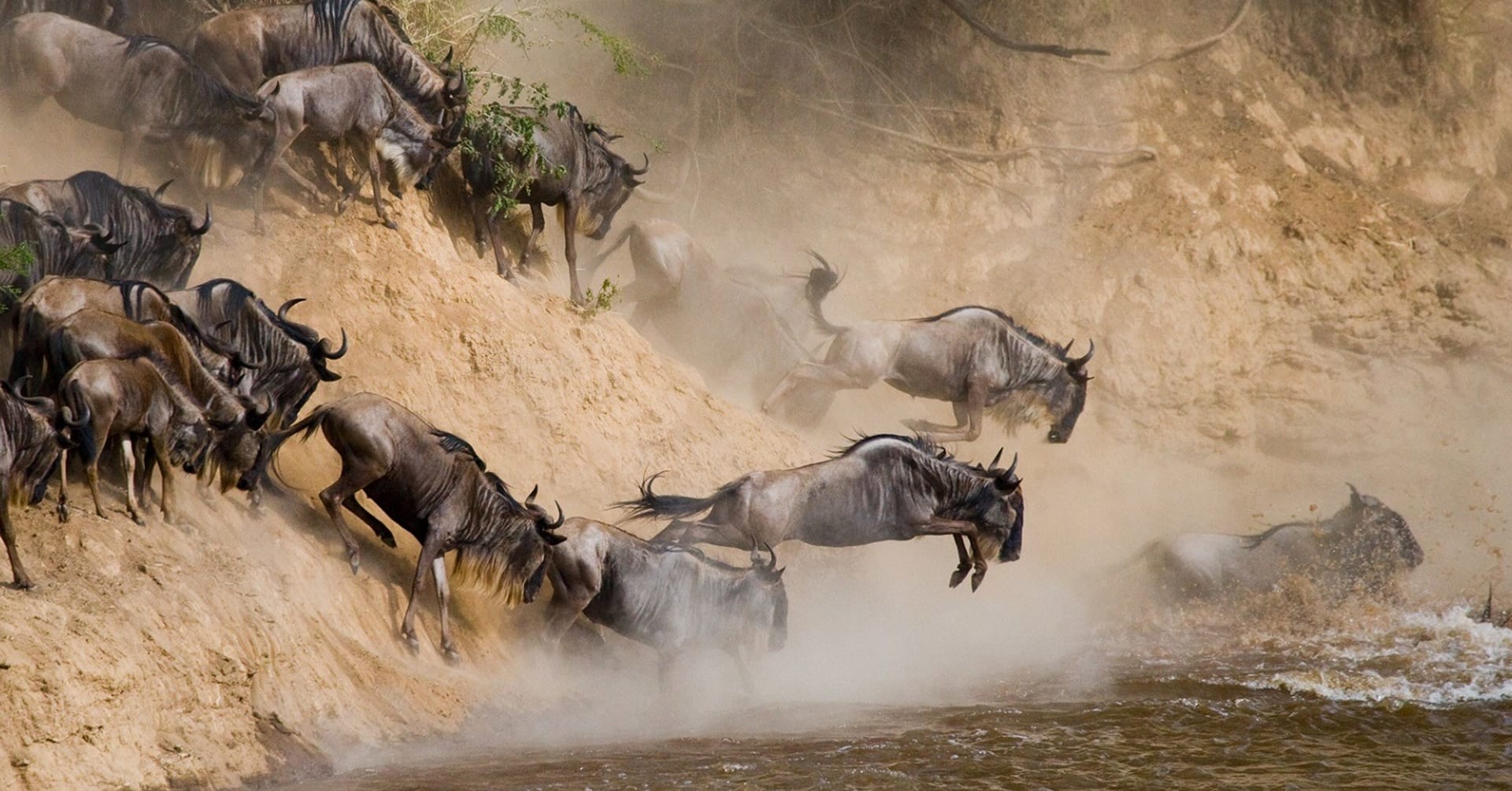7 Days Northern Circuit Safari in Tanzania