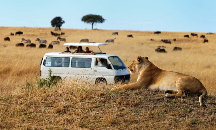 7 days uganda wildlife safari