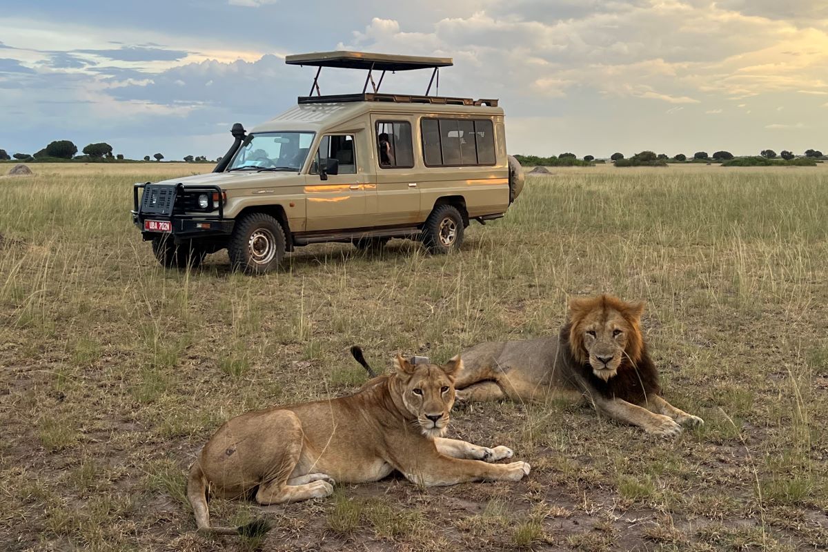 10 Days Uganda Wildlife Safari