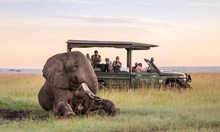 game drives