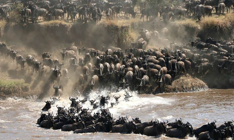 great migration