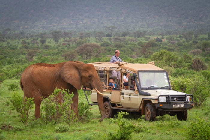 Kenya safari tour packages