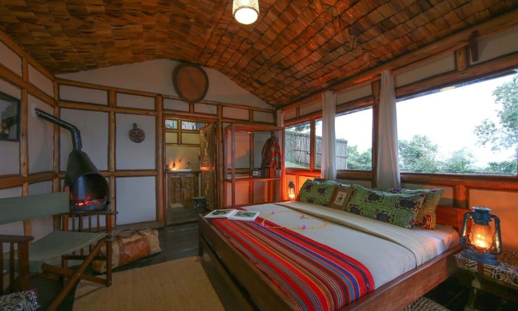 uganda wildlife tours