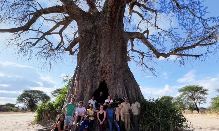 wildlife safaris in tanzania