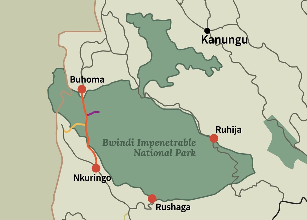 gorilla sectors in Uganda