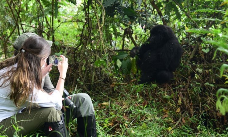 7 Days Uganda Gorillas and Wildlife Tour