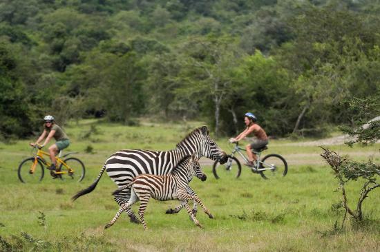 2 Days Lake Mburo Safari