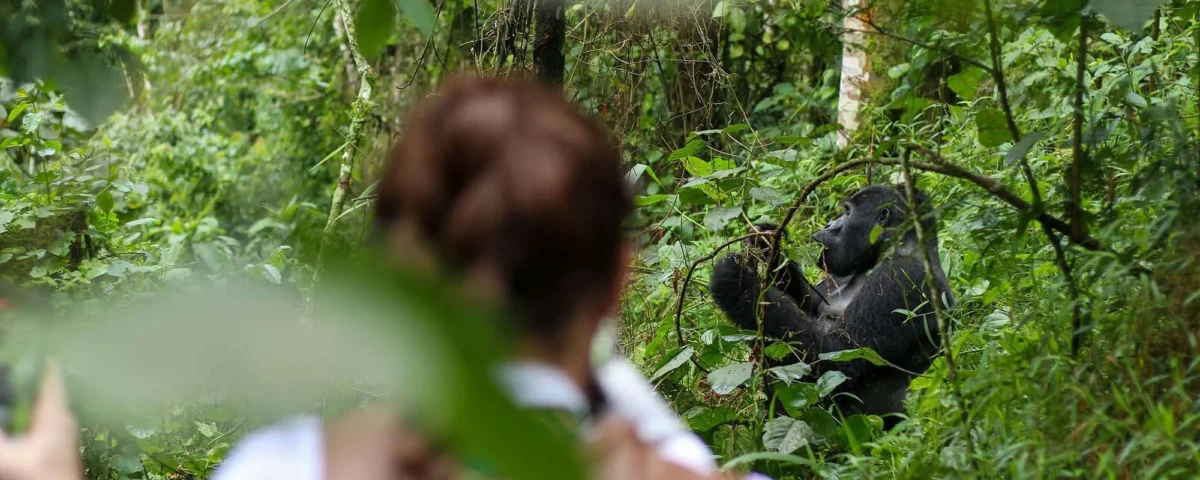 Best Safari Company Uganda