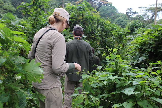 How to Book Gorilla Trekking in Uganda