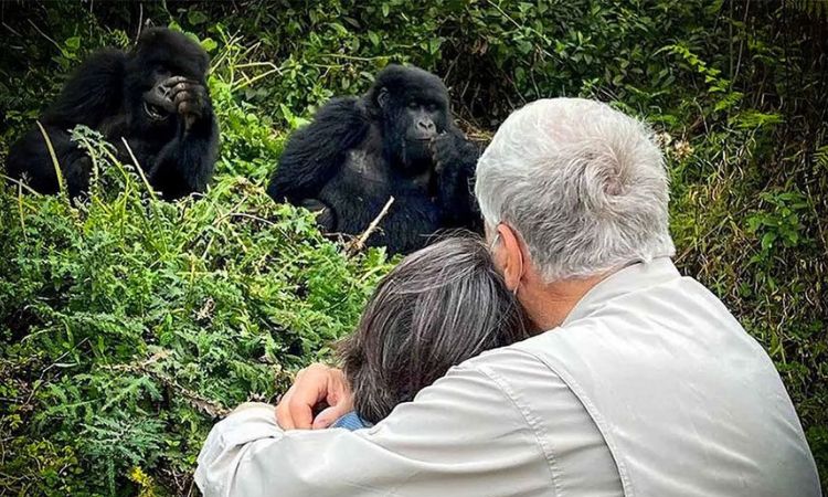 Can Elderly Travelers Do Gorilla Trekking in Uganda